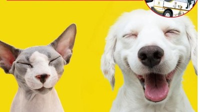 VETBÜS Balıkesir’i Dolaşıyor! Program Belli Oldu