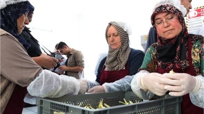 Kınalı Eller Üretiyor Balıkesir Kalkınıyor