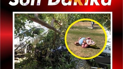 Balıkesir’de Rüzgar Bakın Neleri Devirdi