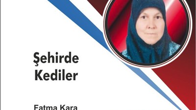 Şehirde kediler