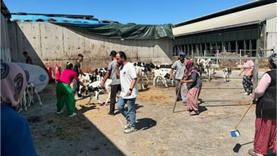 Balıkesir’de Büyükbaş Hayvan Çiftliğinde Yangın