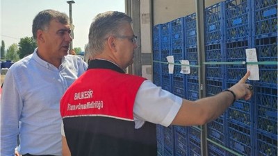 Sındırgı'nın Kornişonu Avrupa Pazarında