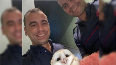 Baykuşun İmdadına Balıkesir İtfaiyesi Yetişti