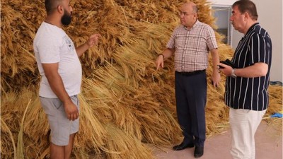 Susurluk’ta Süpürge Üretiminde Değişim Başlıyor