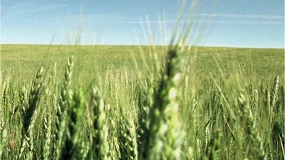 Balıkesir İklime Uyumlu Tarımda Öncü Oluyor
