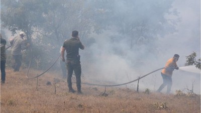 Sındırgı'da Yangın! Arazi Yangını Ormana Sıçradı