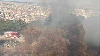 Çamlık Mesire Alanında Yangın Paniği