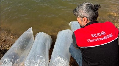 Balıkesir'in Göletlerine Yeni Balıklar Bırakıldı