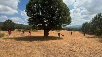 Balıkesir'de Kaybolan Kadın 5 Gündür Bulunamıyor