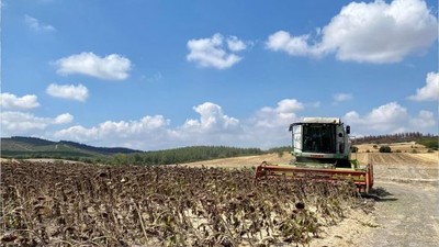 Tarım ÜFE Eylül'de Artış Gösterdi