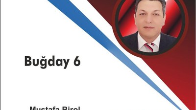 Buğday 6