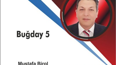 Buğday 5