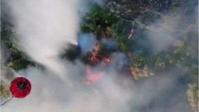 Balıkesir'de Yangına Müdahale Başarıyla Sonuçlandı
