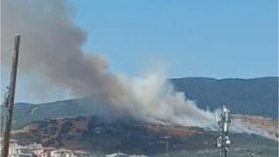 Balıkesir'de Orman Yangını Zeytinliklere Sıçradı