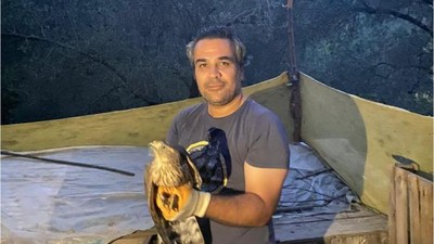 Balıkesir'de Yaralı Kuşlar Tedavi Edilerek Doğaya Salındı