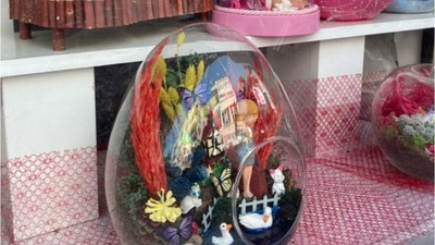 Balıkesir'de Teraryumlar Yükselişte!