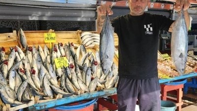 Bandırma Balık Hali'nde Palamut Rekoru!