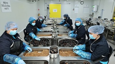 Erdek’te Türkiye'nin İlk Entegre Midye Tesisi Kuruldu
