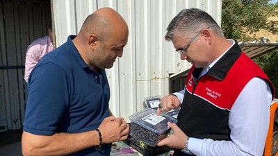 Gönen’de Aronya Hasadı Başladı