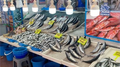 Balıkesir'de Balık Tezgâhları Canlandı! Yeni Fiyatlar Belirlendi