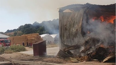 Samanlıkta 500 Ton Yonca Heba Oldu