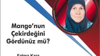 Mango’nun Çekirdeğini Gördünüz mü?