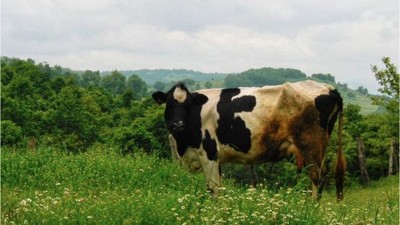 Özel Fotoğraf Sergisi Kapılarını Gönen'de Açacak