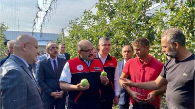 Yeşil Elmalar Susurluk’tan 7 Ülkeye Ulaşıyor