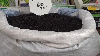 Balıkesir’in Unutulan Şifa Hazinesi