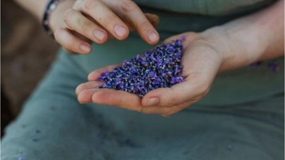 Balıkesir'in Bahçelerinden Gelen Güzellik Sırları
