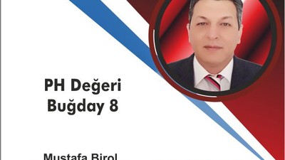 PH Değeri Buğday 8