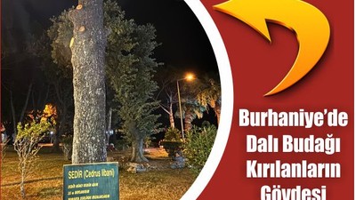 Burhaniye’de Dalı Budağı Kırılanların Gövdesi Konuşuyor!
