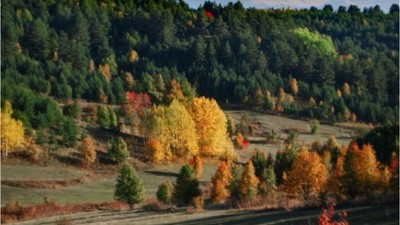 Balıkesir’in Doğası ve Sonbahar Burçları