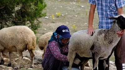 Balıkesir Yaylası’nda Göçebe Yaşamın Hikayesi