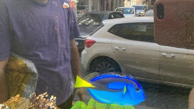 Balıkesir’de Kayıp Balık Nemo ve Dori Görüldü!