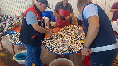Balıkesir'de Su Ürünleri Denetimleri Sürüyor