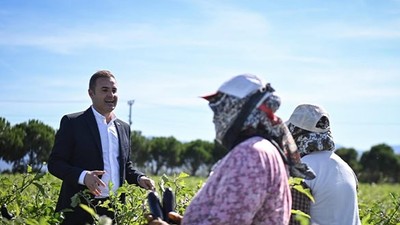 Başkan Akın Kadın Çiftçilerle Patlıcan Hasadı Yaptı