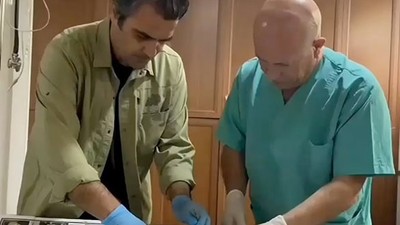 Edremit’te Nadir Görülen Bıldırcın Kılavuzu Kuşu Tedavi Edildi