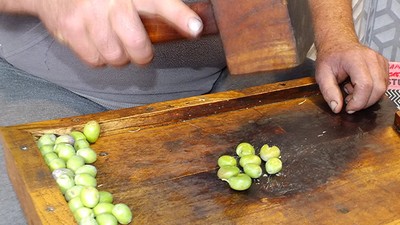 Erdek’te Dededen Kalma Kırma Zeytin Geleneği