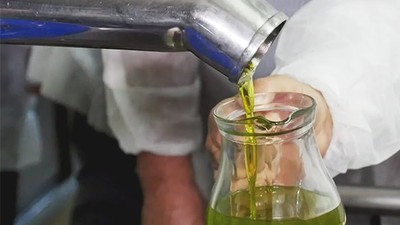 Uzmanlardan Sahte Zeytinyağı Uyarısı