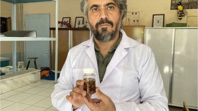 Yeni Akrep Türünü Keşfetti Eşinin Adını Verdi!