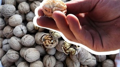 Balıkesirli Çocukların Beslenmesinde Öne Çıkıyor