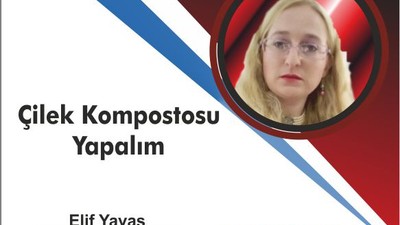 Çilek Kompostosu Yapalım