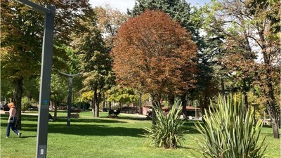 Balıkesir Film Olsaydı