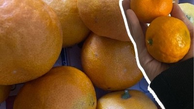 Sadece Yenilmekle Kalmayıp Suyu Da İçiliyor