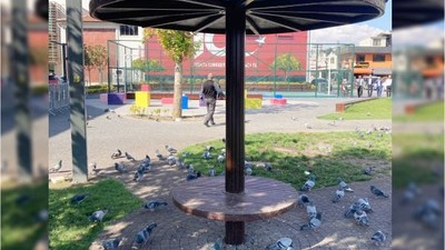 Güvercinlerin Mola Yeri Balıkesir