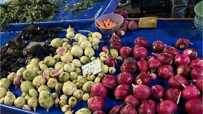 Balıkesir ‘de 3 Çeşit Turpa İlgi Çok