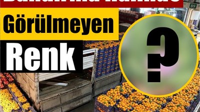 Bandırma Halinde Görülmeyen Renk