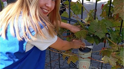 Hayvanları Koruma Günü’nde Mama Kapları Yenilendi