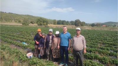 Balıkesir'de Çilek Üreticilerine Destek Artıyor